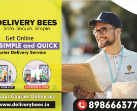 Get express delivery courier services from Delivery Bees